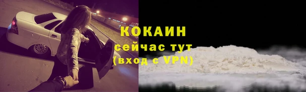 сатива Медногорск