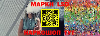 гашик Берёзовский