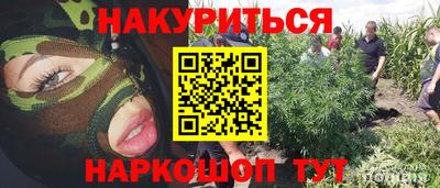 гашик Берёзовский