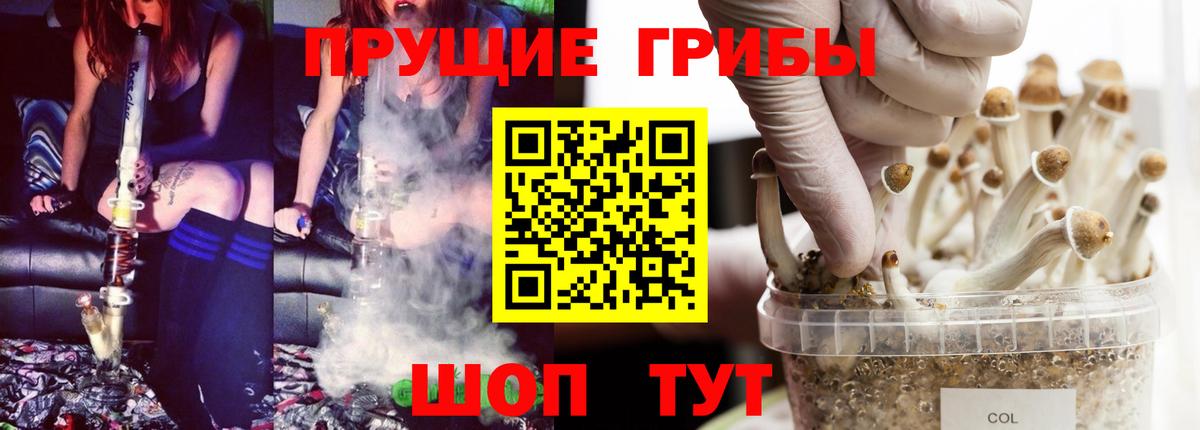 Галлюциногенные грибы MAGIC MUSHROOMS  Вход с VPN  что такое   Миллерово 